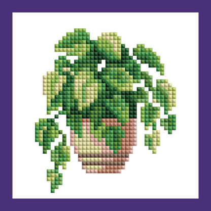 Mini Kits - House Plants Edition
