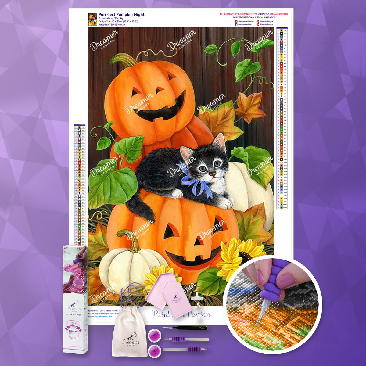 Purr-fect Pumpkin Night