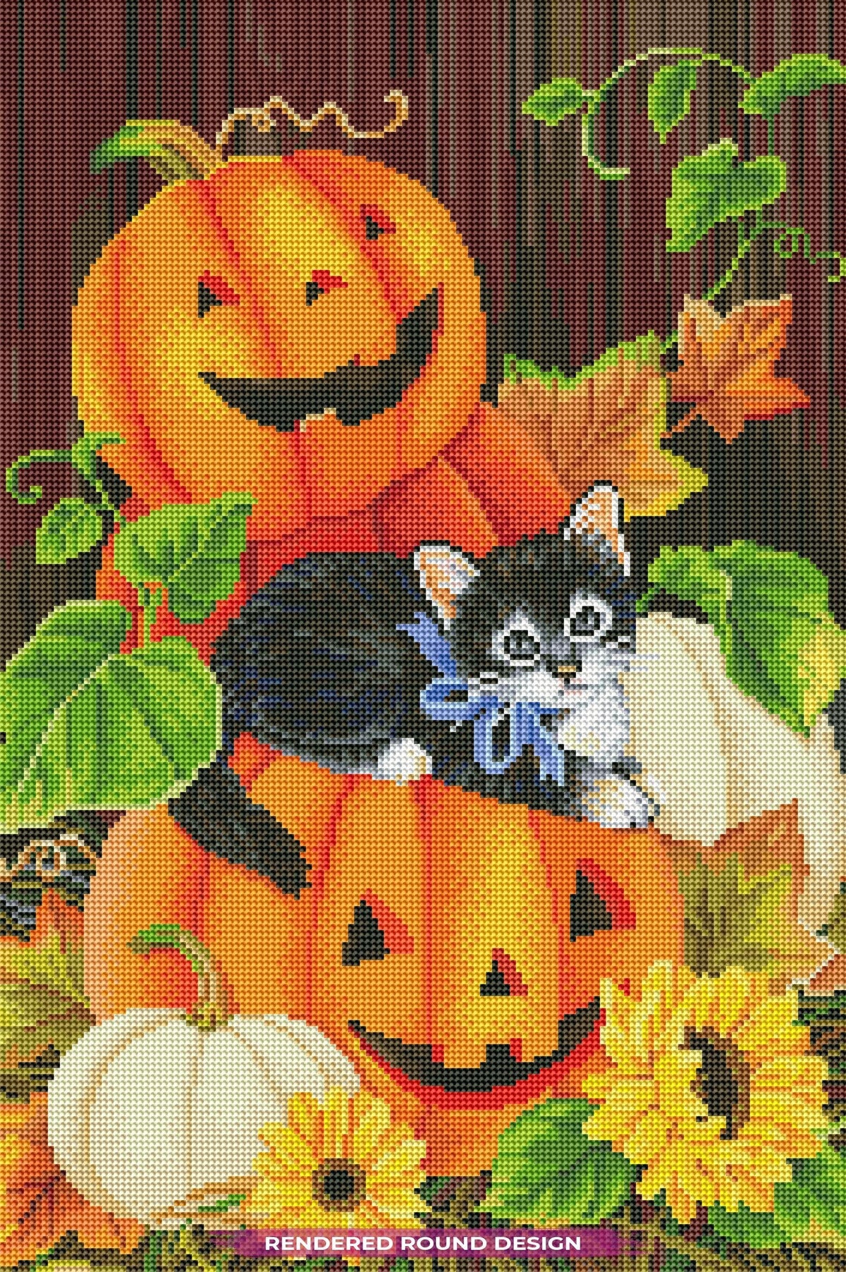 Purr-fect Pumpkin Night