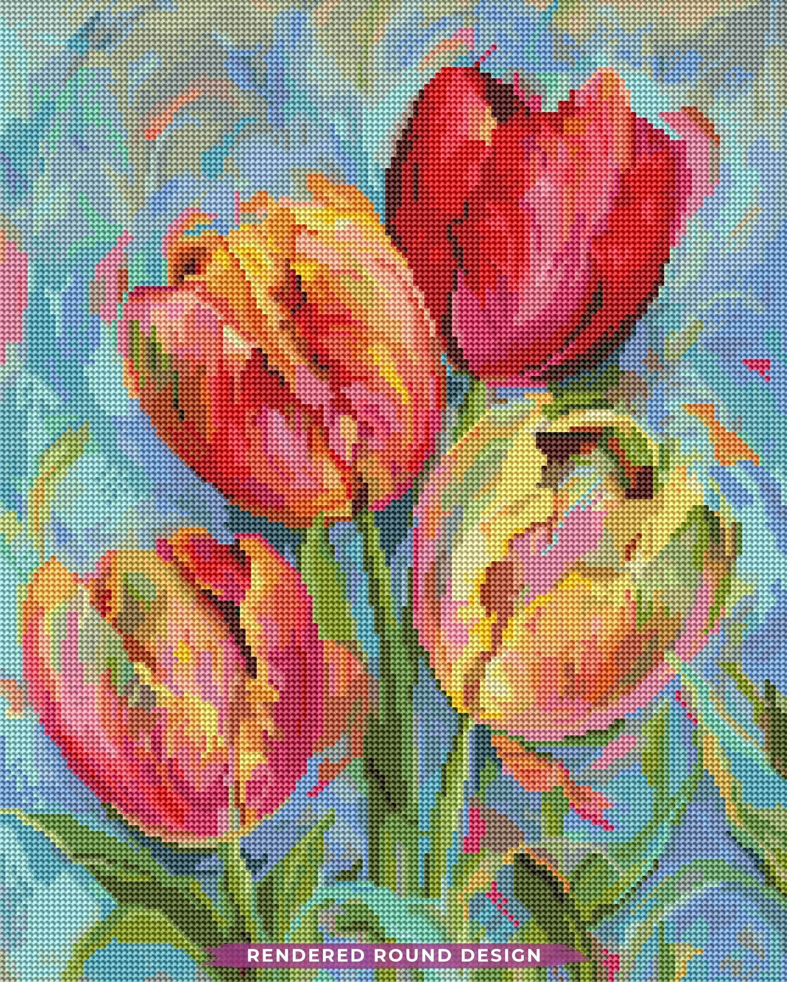 Rainbow Tulips