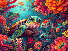 Toughy | Eden Cove