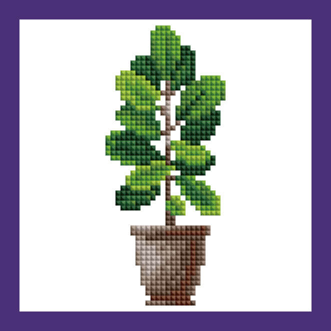 Mini Kits - House Plants Edition