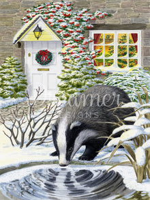 Curious Badger