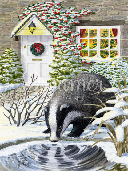 Curious Badger