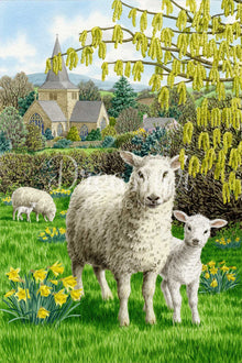 Fields of Grace
