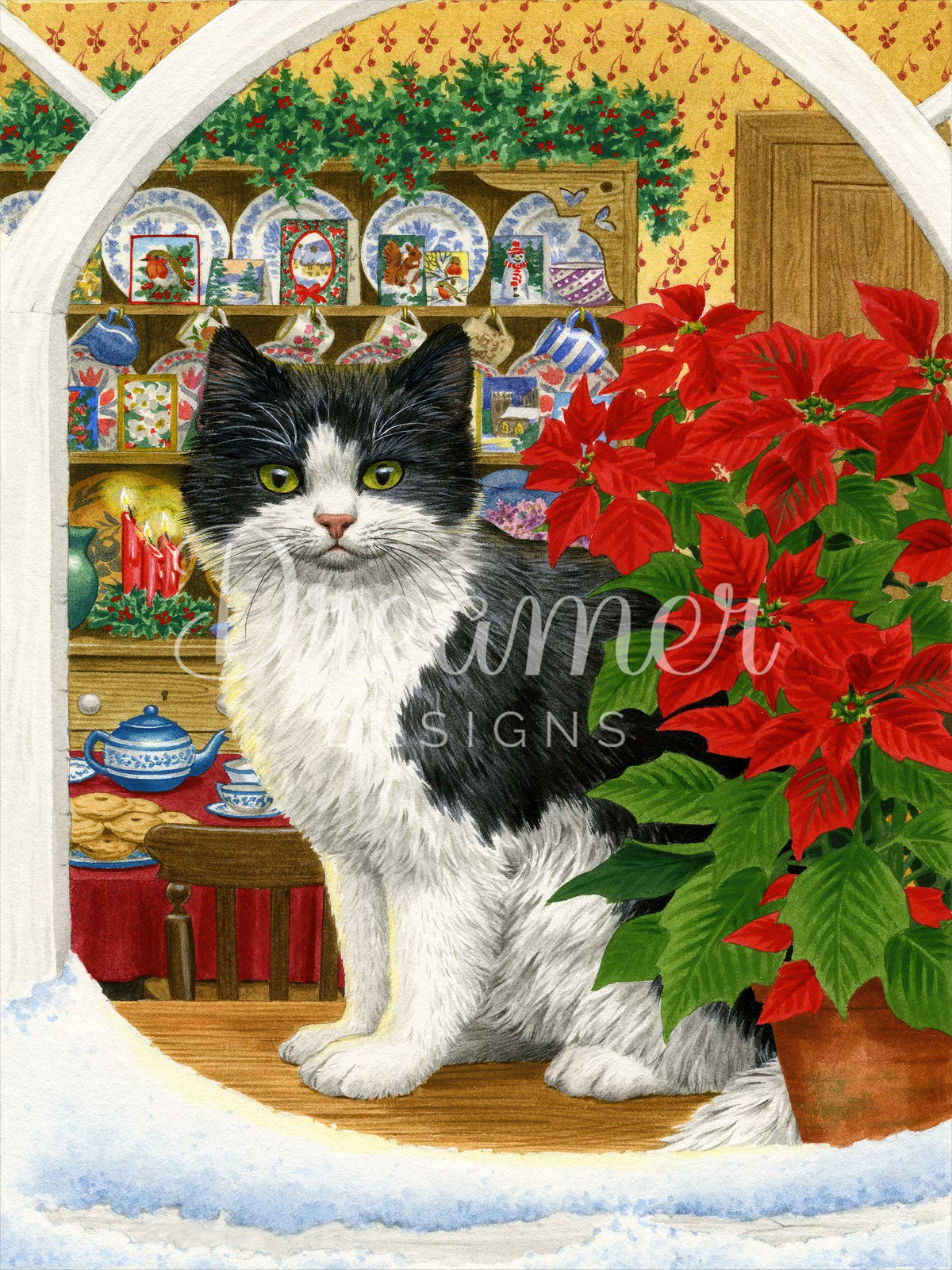 Poinsettia Purr