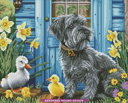 Schnauzer And Friends