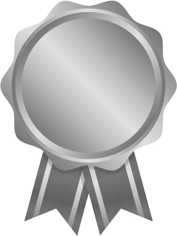Silver Reward Dreamer Rewards