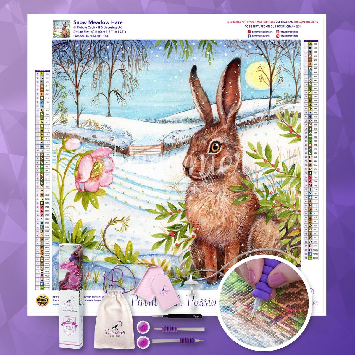 Snow Meadow Hare