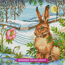 Snow Meadow Hare