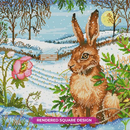 Snow Meadow Hare