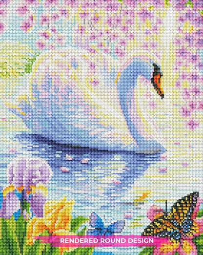 Spring Beauty