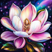 Aurora Magnolia