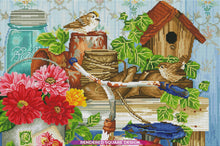 The Old Garden Shed