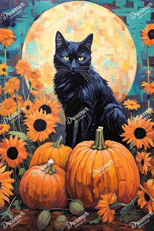 Midnight In The Pumpkin Patch