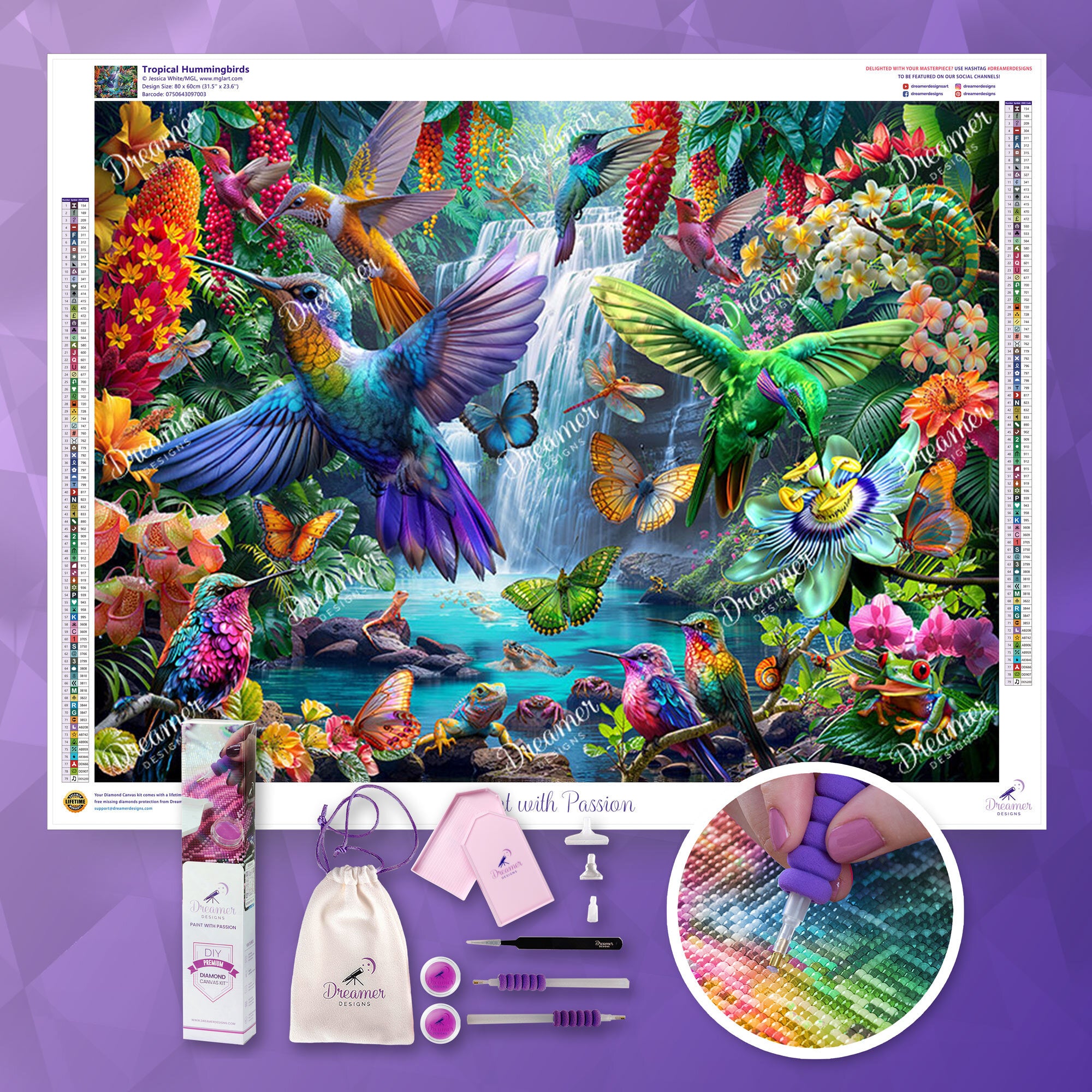 Tropical Hummingbirds