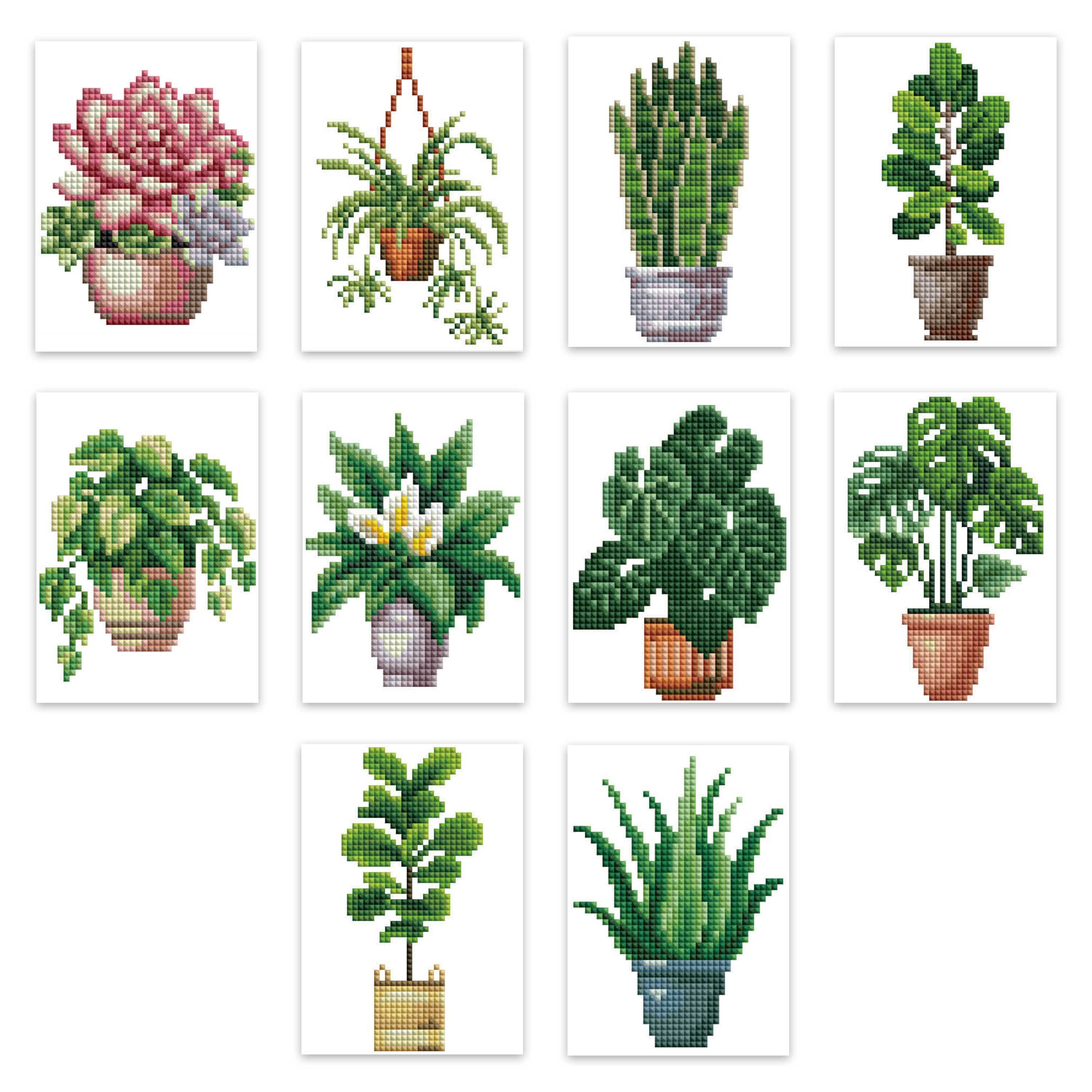 Mini Kits - House Plants Edition