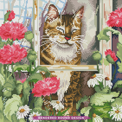 Window Whiskers