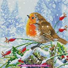Winter Robin