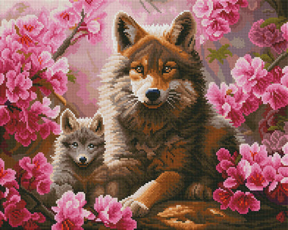 Garden Wolf