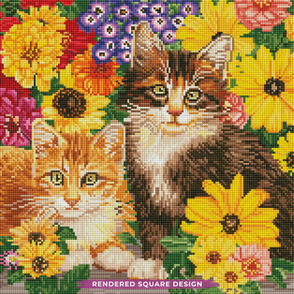 Kitties And Flowers