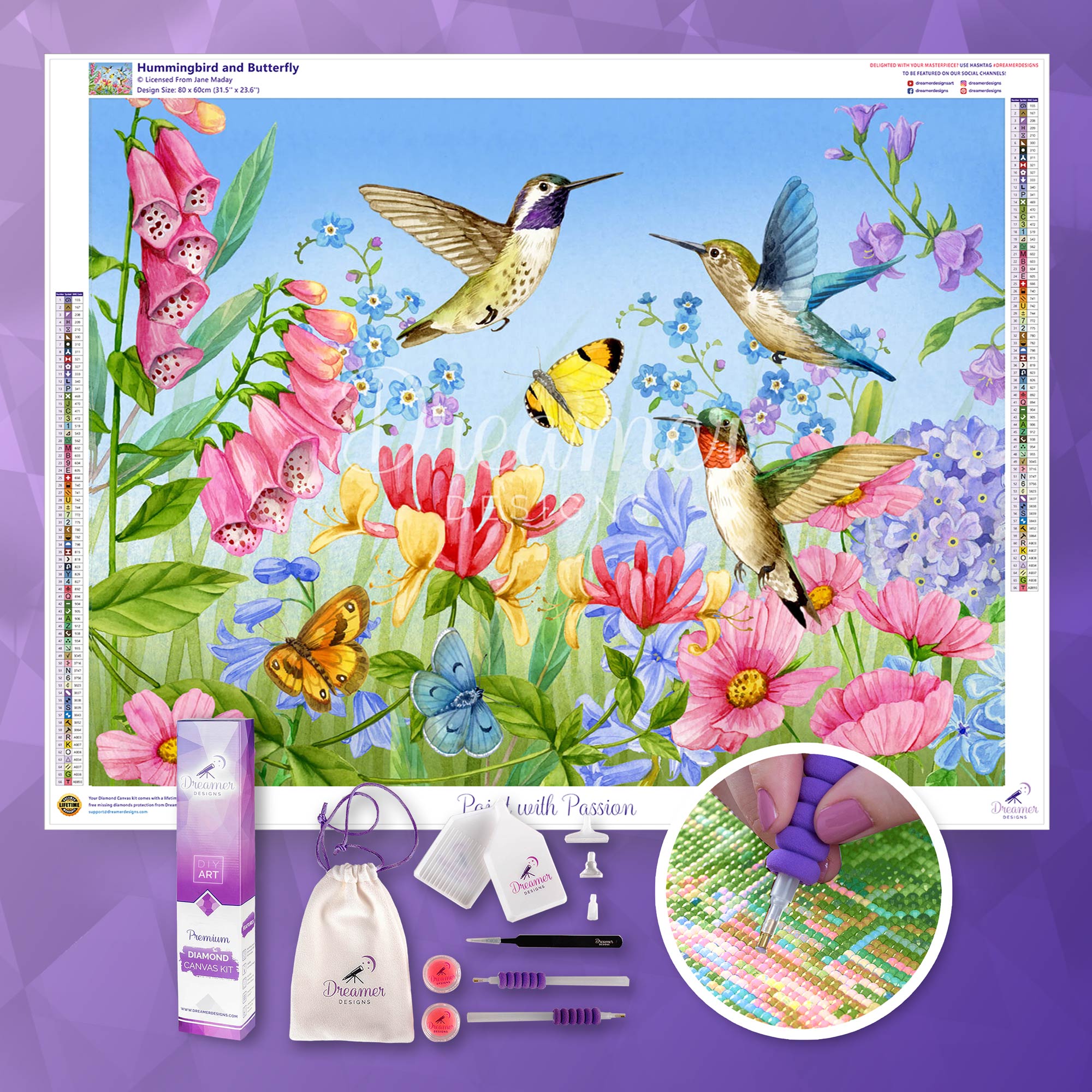 Hummingbird and Butterfly Hummingbird and Butterfly