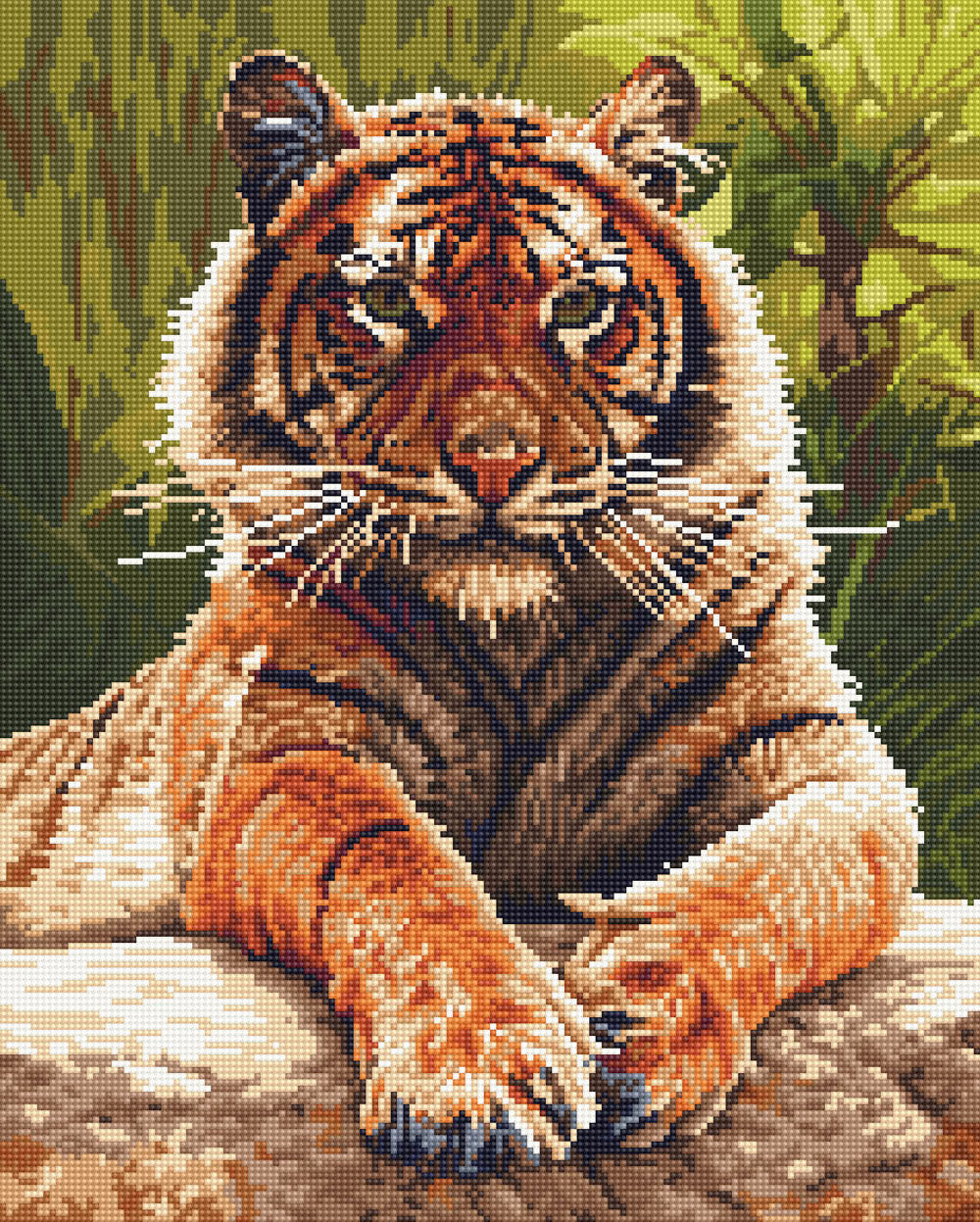 Sumatran Tiger