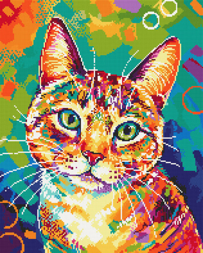 Confetti The Cat