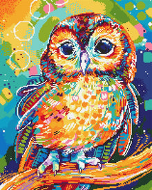 Tawny Owl