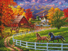 Horse Valley Farm