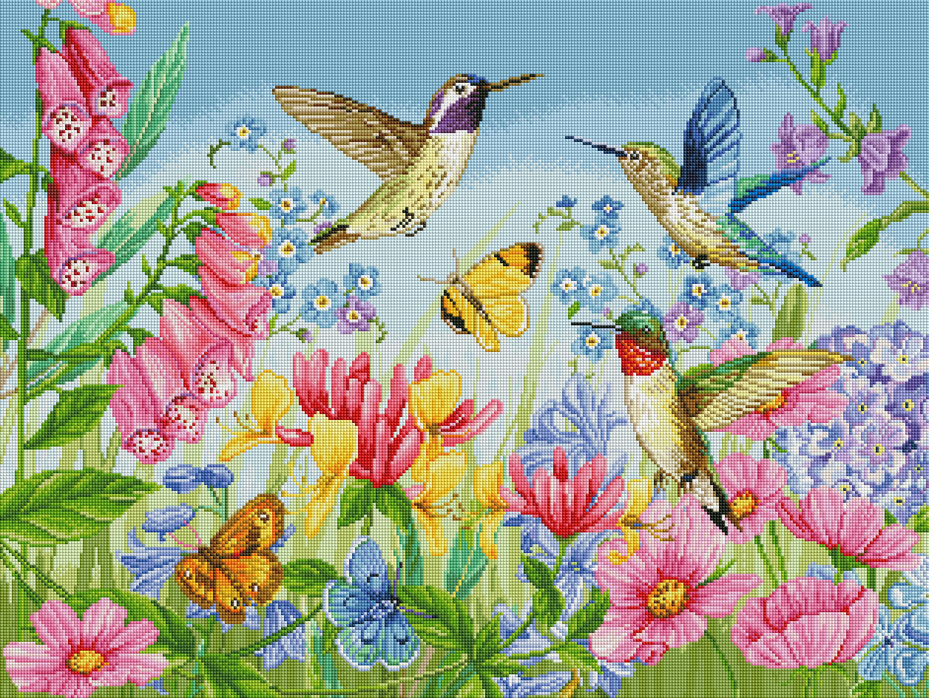 Hummingbird and Butterfly