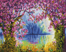 Magnolia Spring