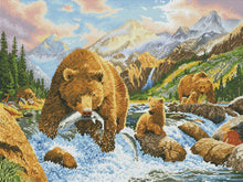 Bear Salmon Fishing