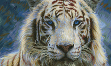 Serene Emperor