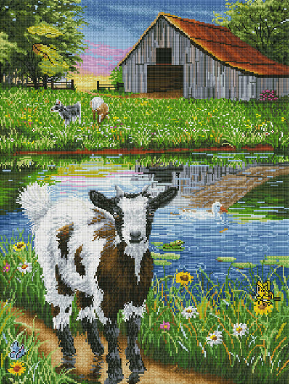 Sammy’s Summer Day