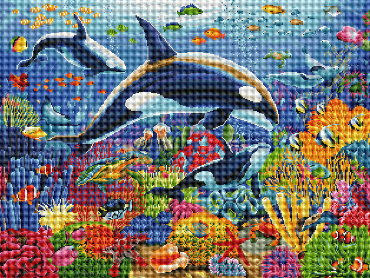 Orca Fun