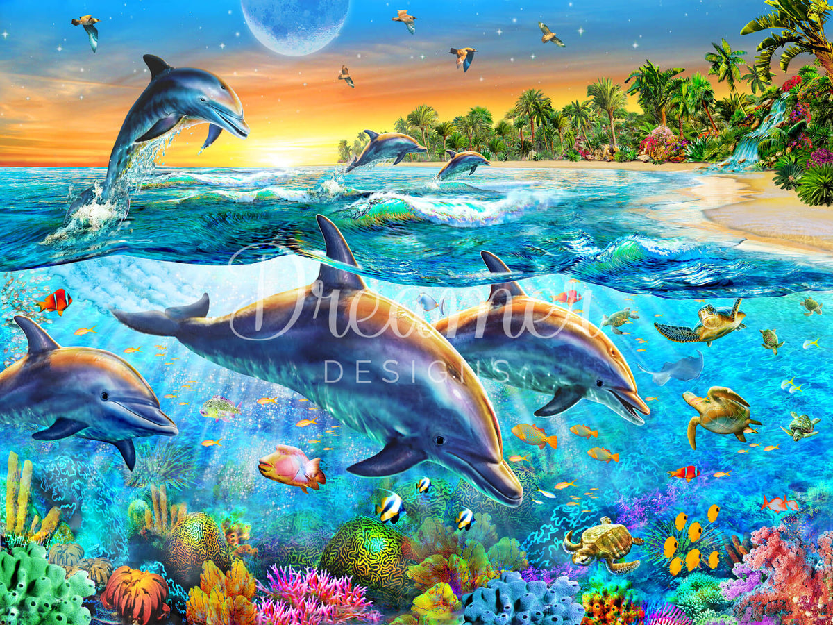Dolphin Bay