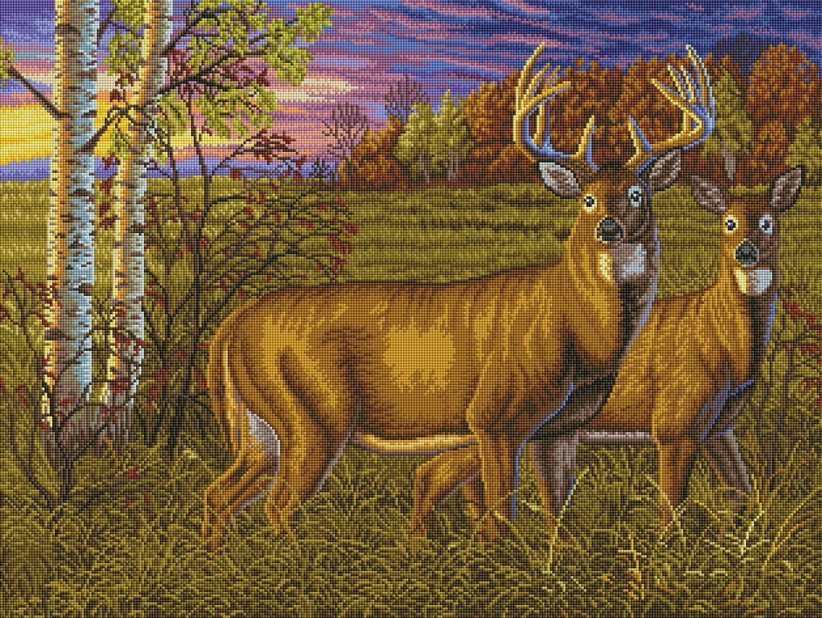 Whitetail Dawn