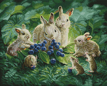 Blueberry Lunch
