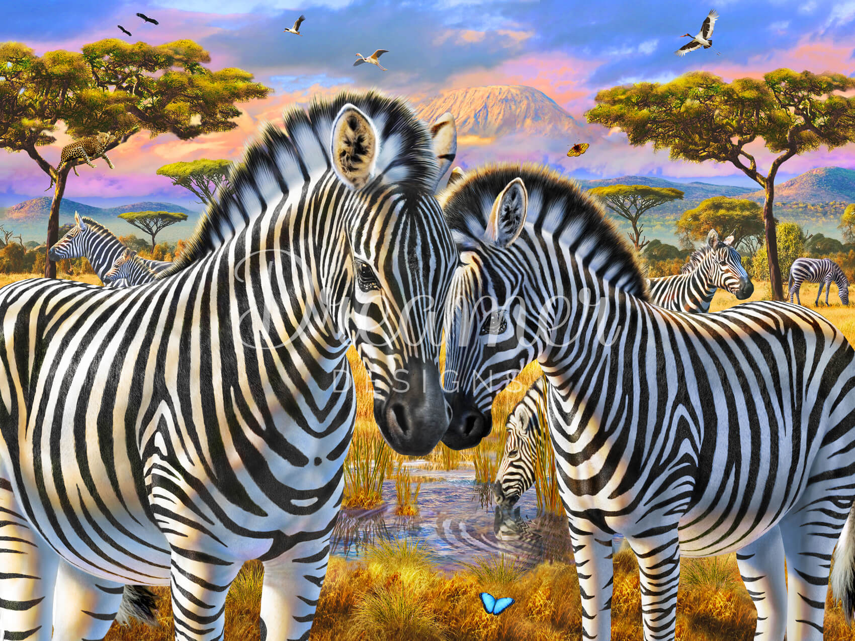 Loving Zebras