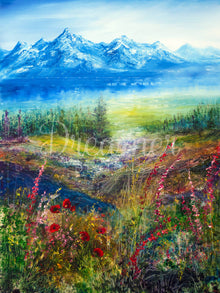 Mountain Stream