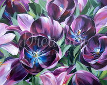 Purple Tulips