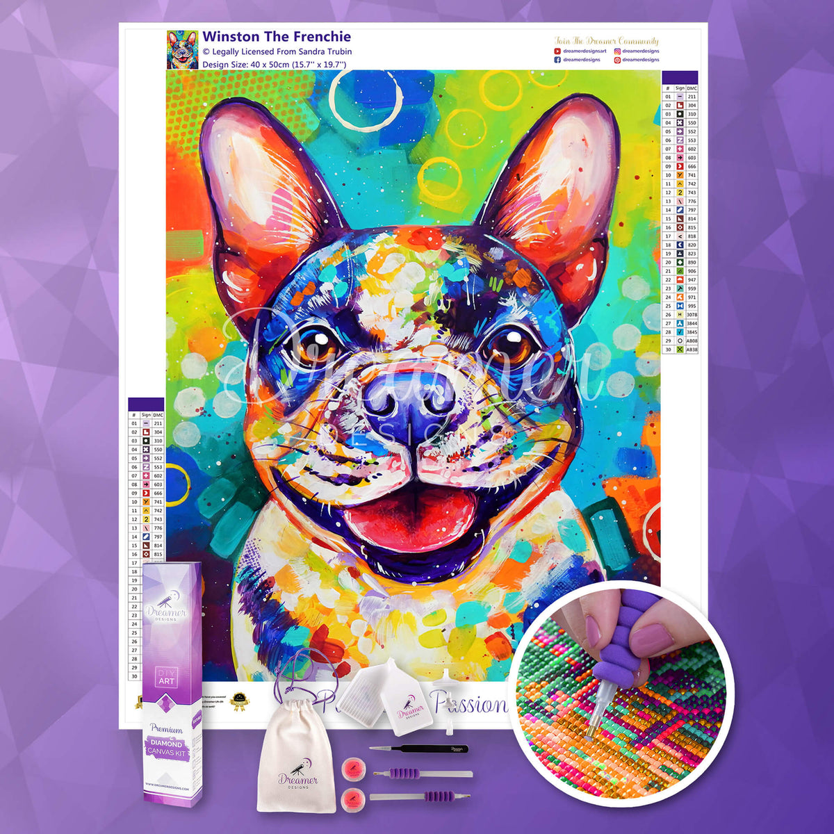 Winston The Frenchie
