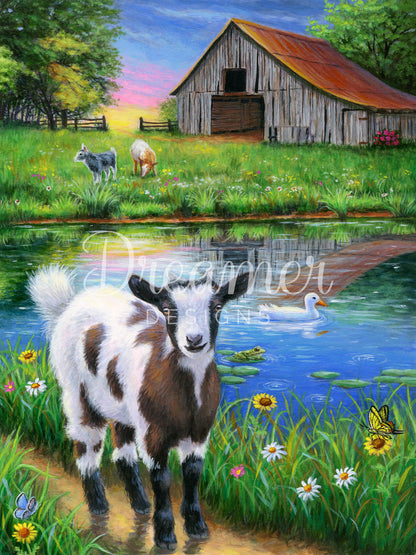 Sammy’s Summer Day