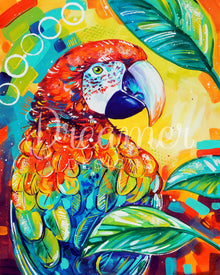 Scarlet Macaw