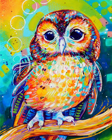 Tawny Owl