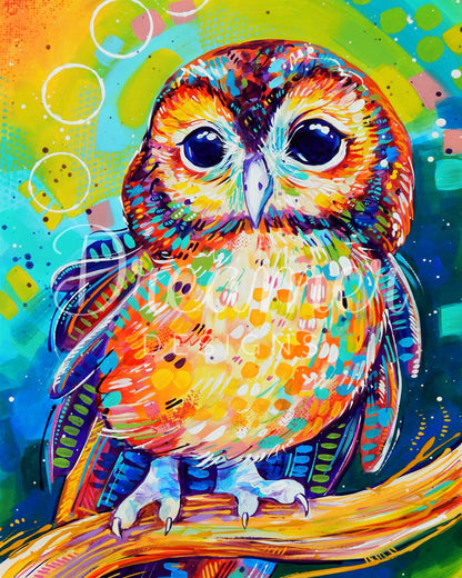 Tawny Owl