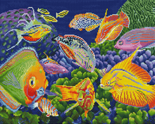 Wrasse Appeal