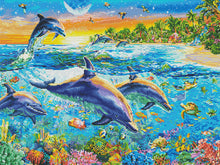 Dolphin Bay