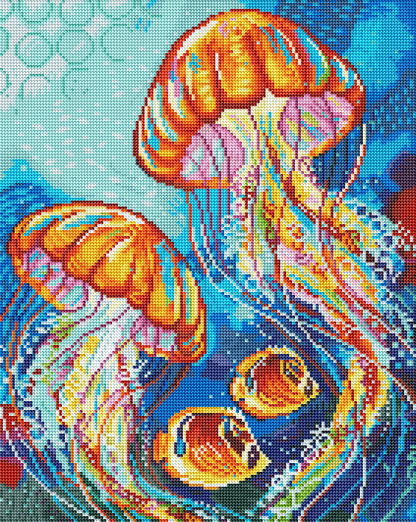Fish and Jellies